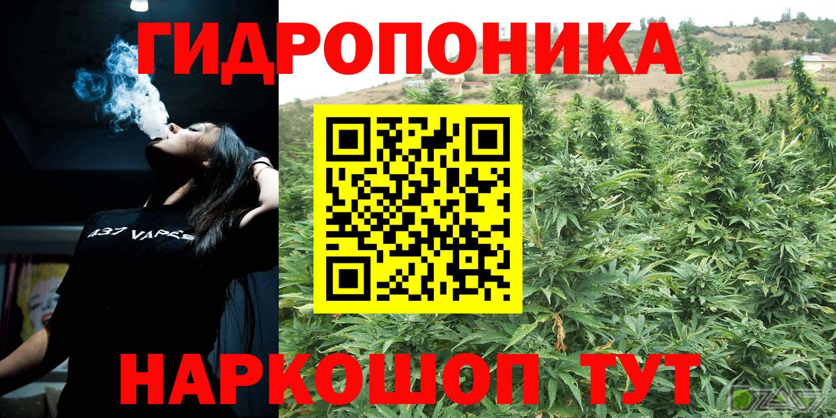 Бошки марихуана индика Великий Новгород